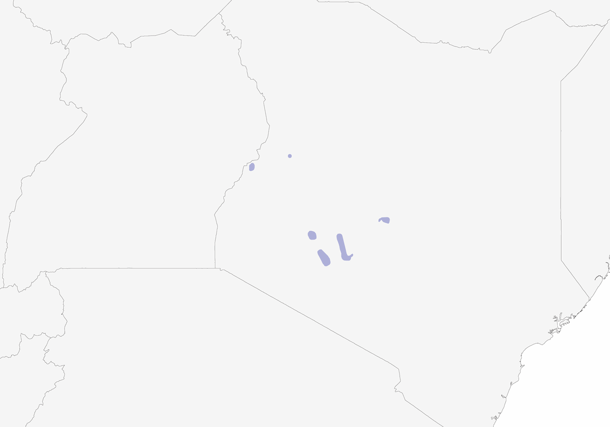 Uñilarga de Sharpe, Distribución 1