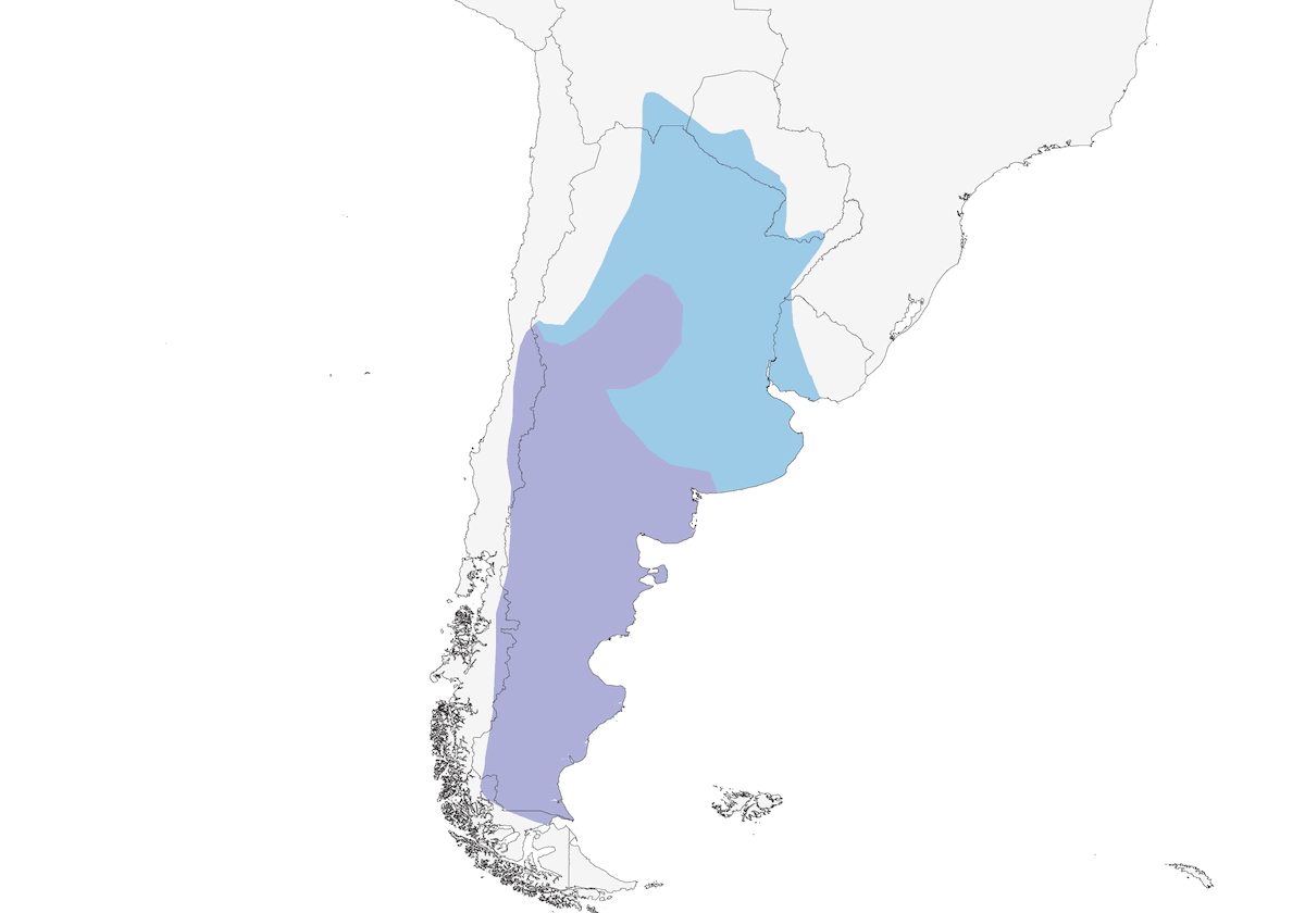 Sharp-billed Canastero, Distribution 1
