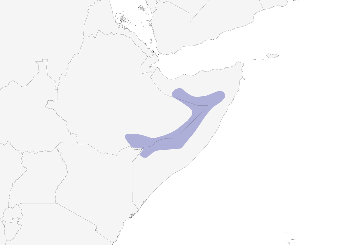 Short-billed Crombec, Distribution 1