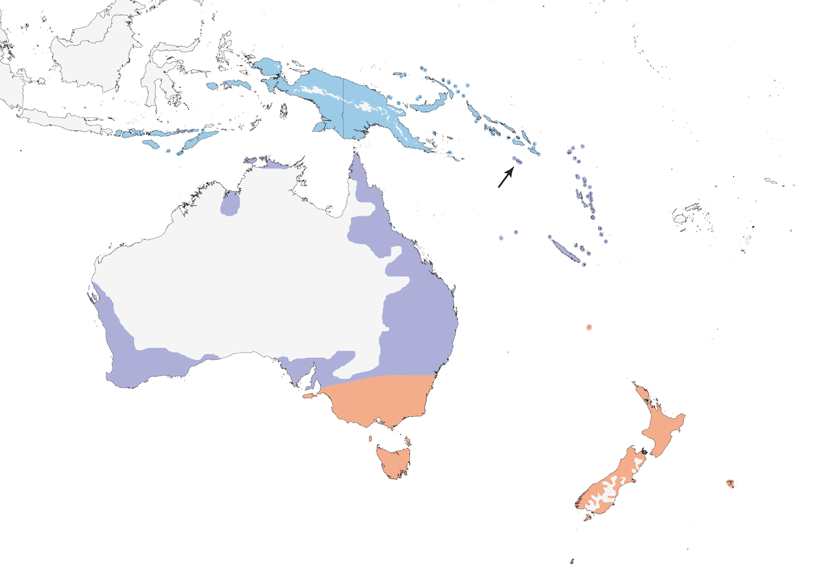 Shining Bronze-Cuckoo, Distribution 1