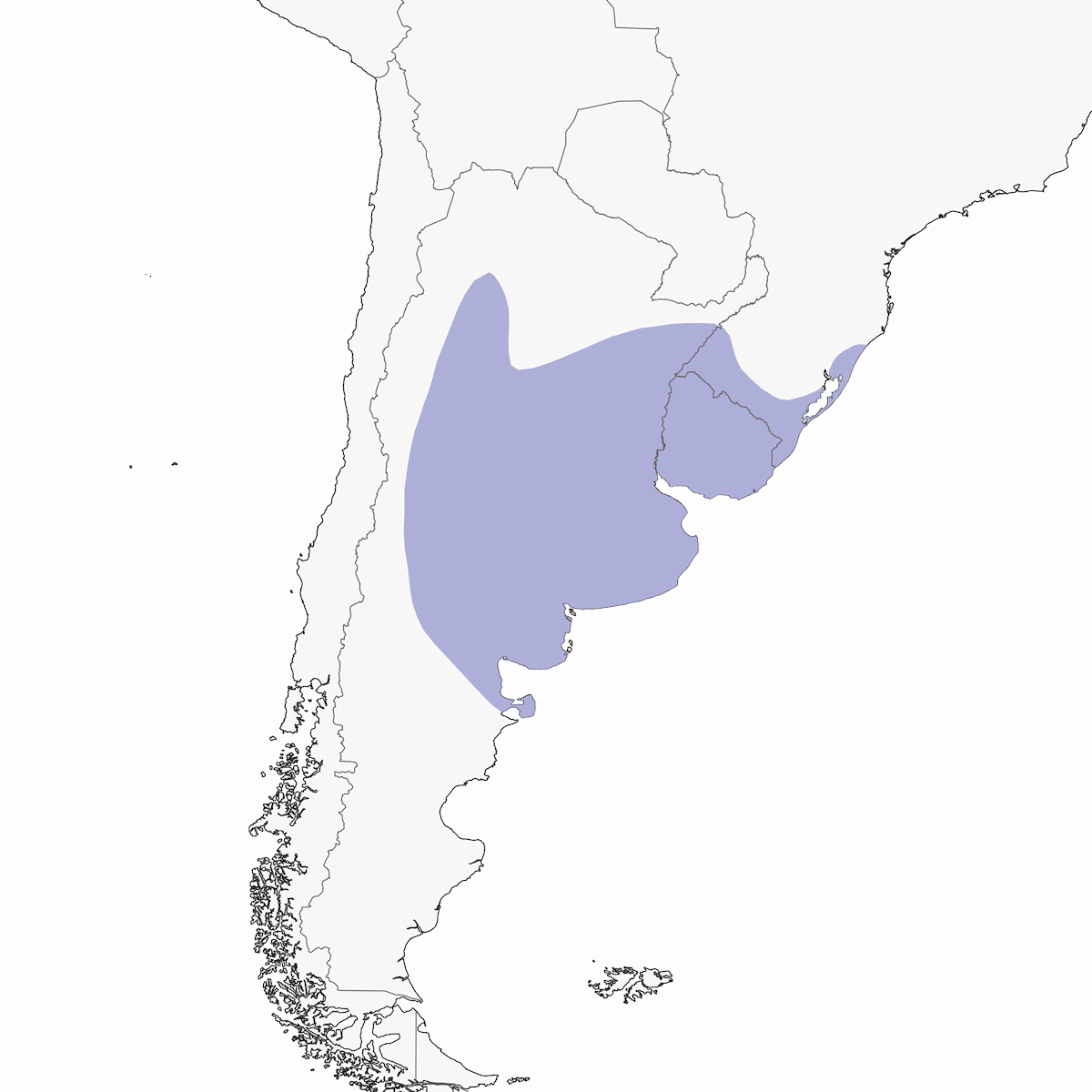 Pispola beccocorto, Distribuzione 1