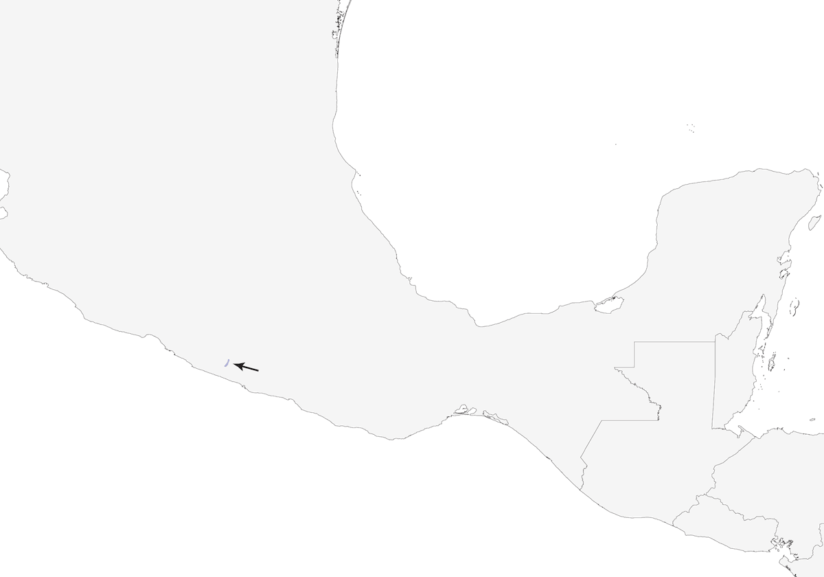 Short-crested Coquette, Distribution 1