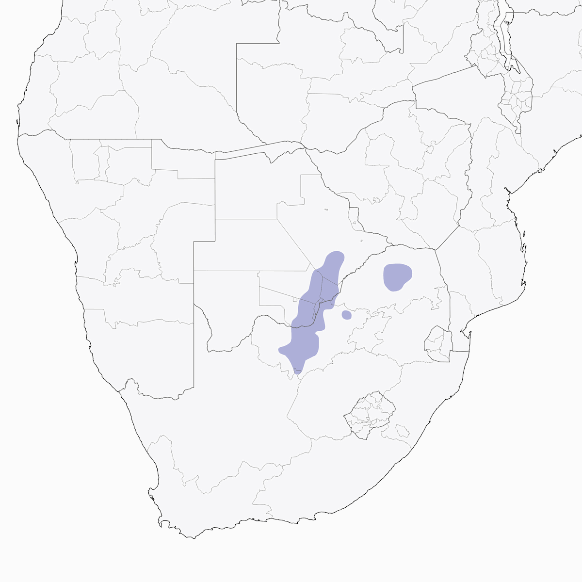 Allodola dalle unghie corte, Distribuzione 1