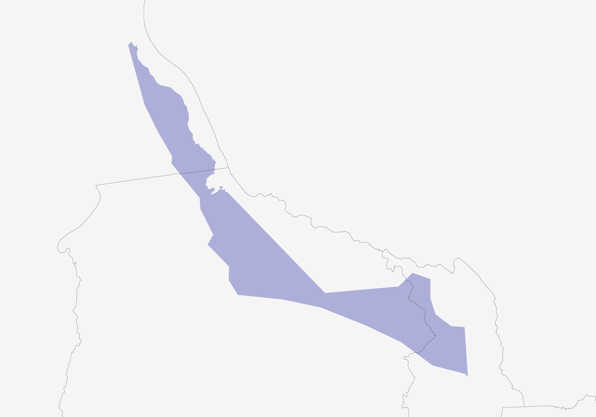 Francolino di Whyte, Distribuzione 1