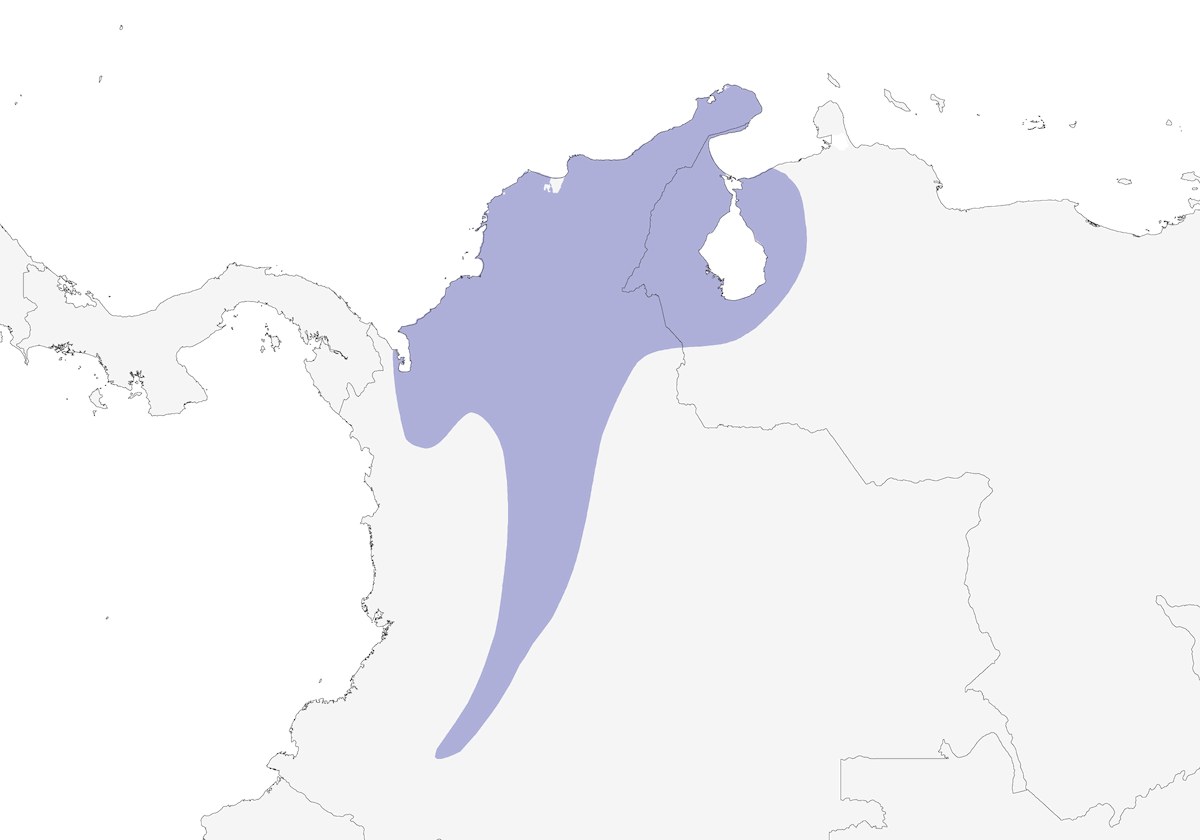 Héliodoxe impératrice, Distribution 1