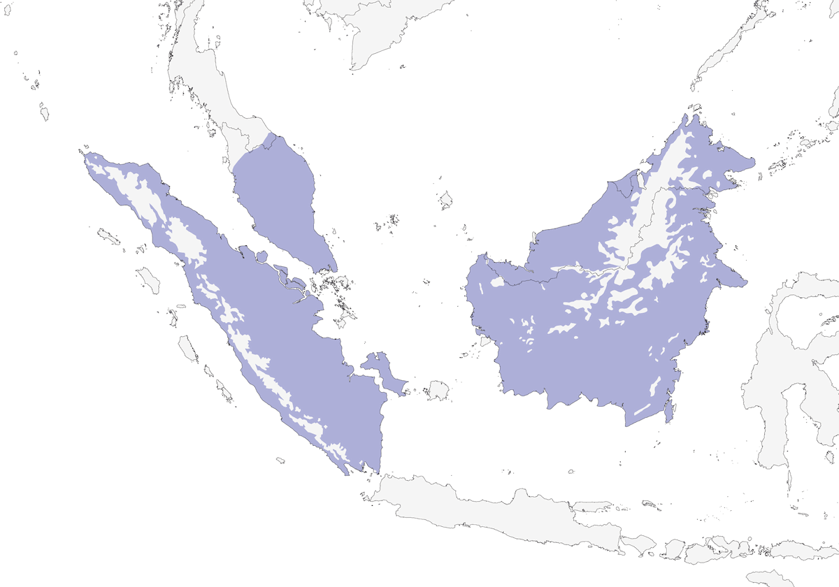 Short-toed Coucal, Distribution 1