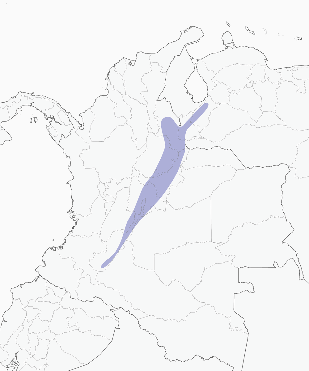 Short-tailed Emerald, Distribution 1