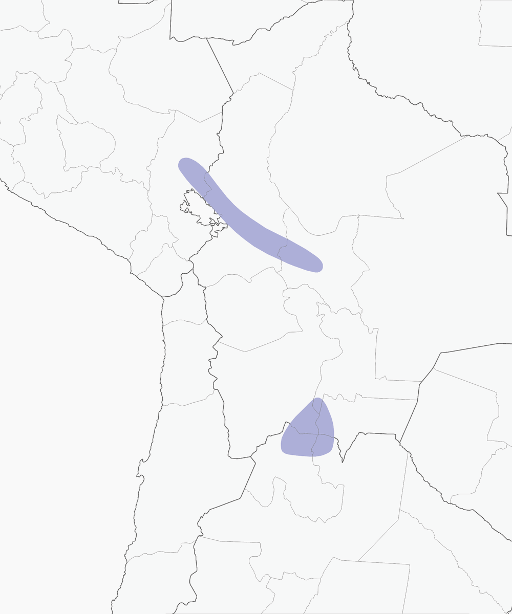 Pinson de Cocos, Distribution 1