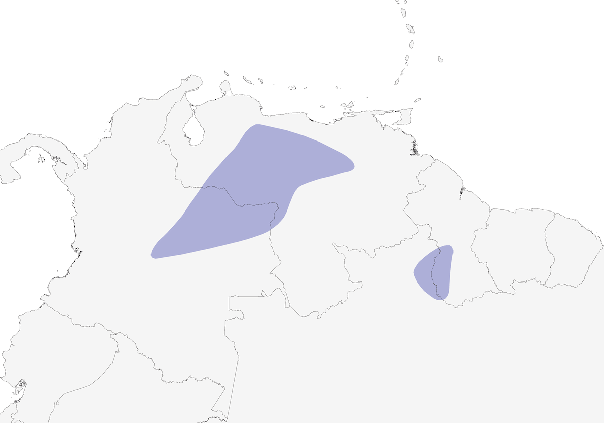 Sharp-tailed Ibis, Distribution 1