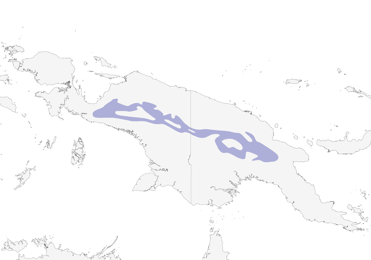 Paradigalla coda corta, Distribuzione 1