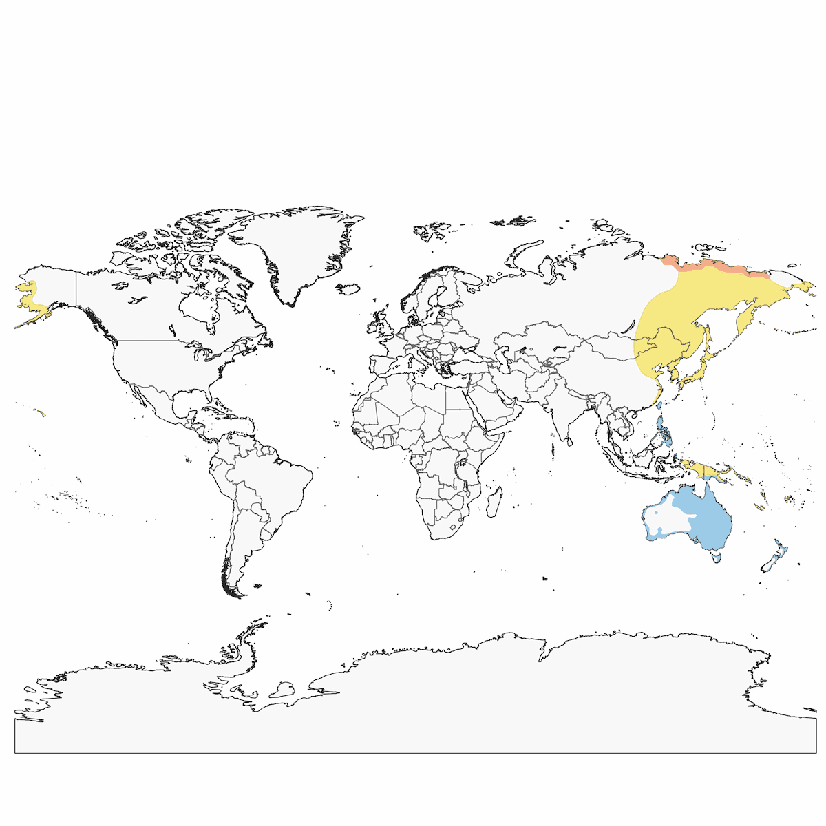 Sharp-tailed Sandpiper, Distribution 1