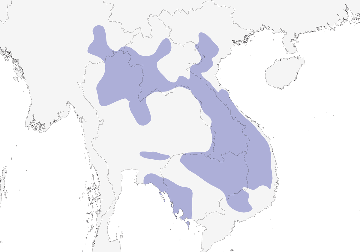 Faisan de Diard, Distribution 1
