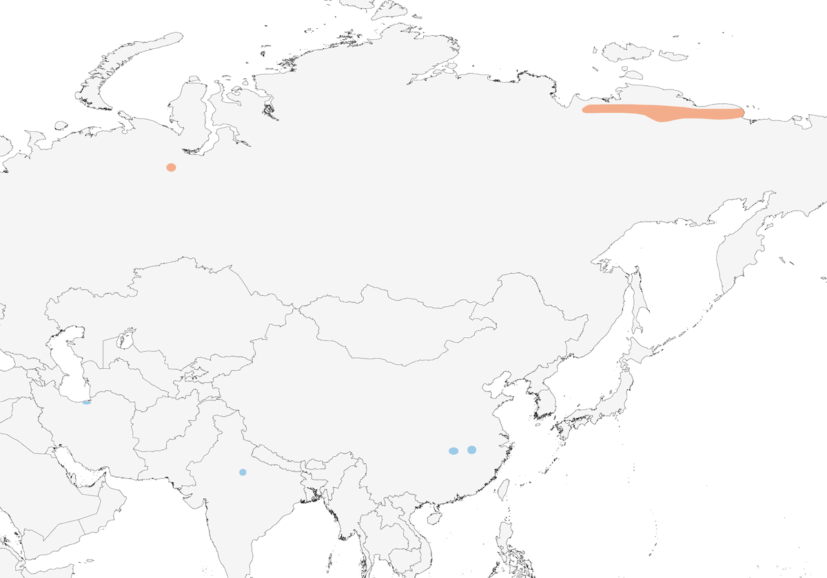 Gru siberiana, Distribuzione 1
