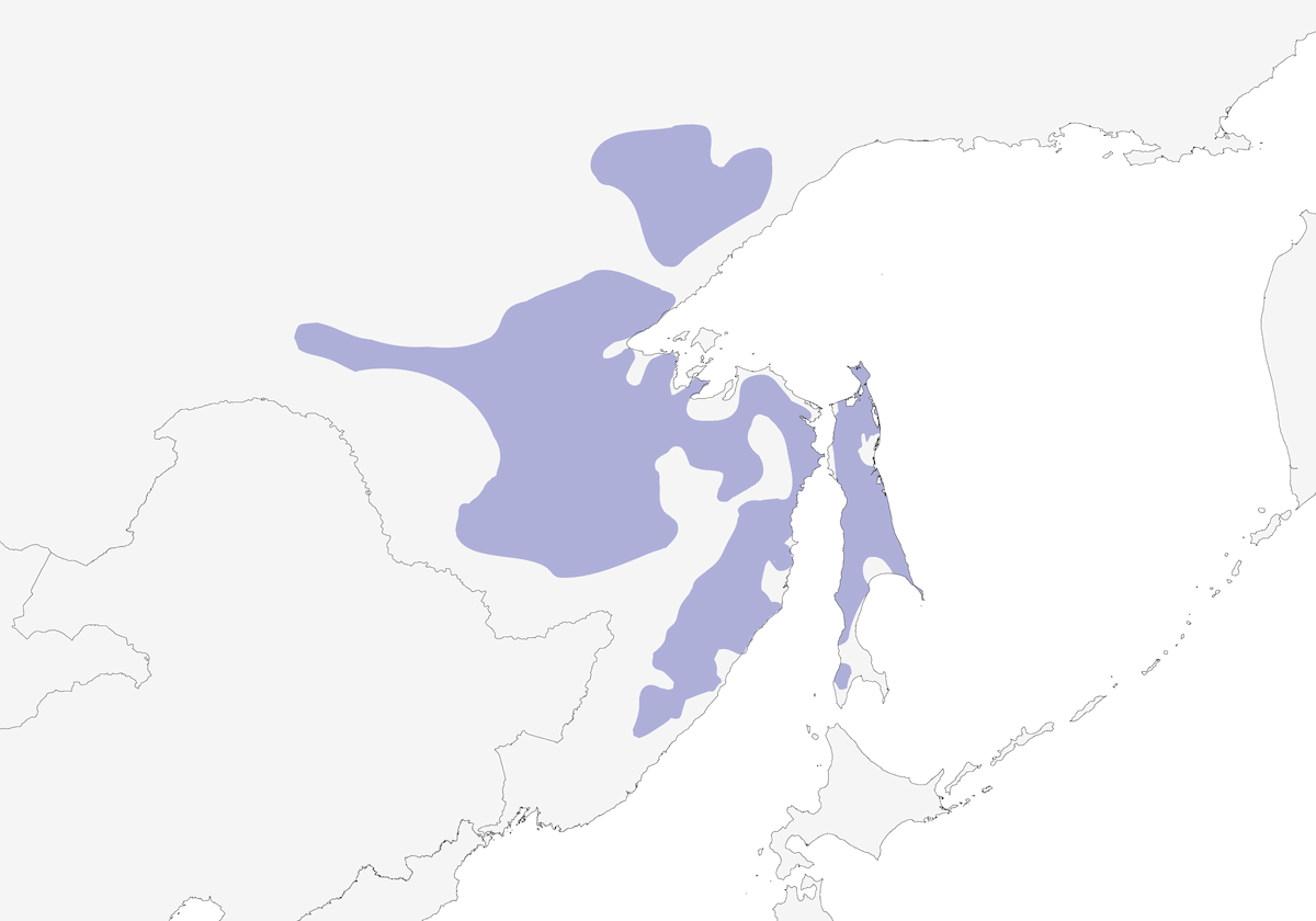 Tetra siberiana, Distribuzione 1