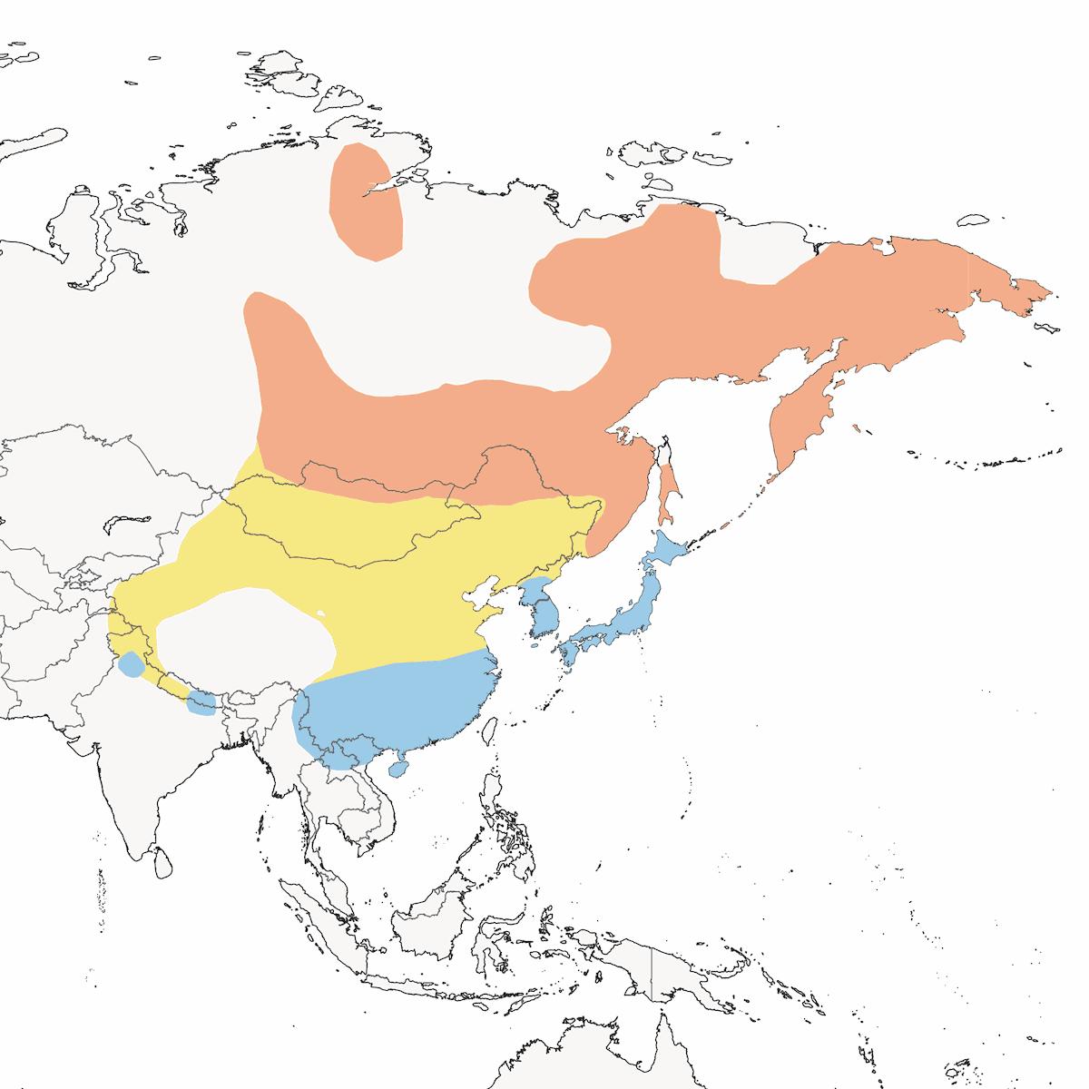 Pispola siberiana, Distribuzione 1