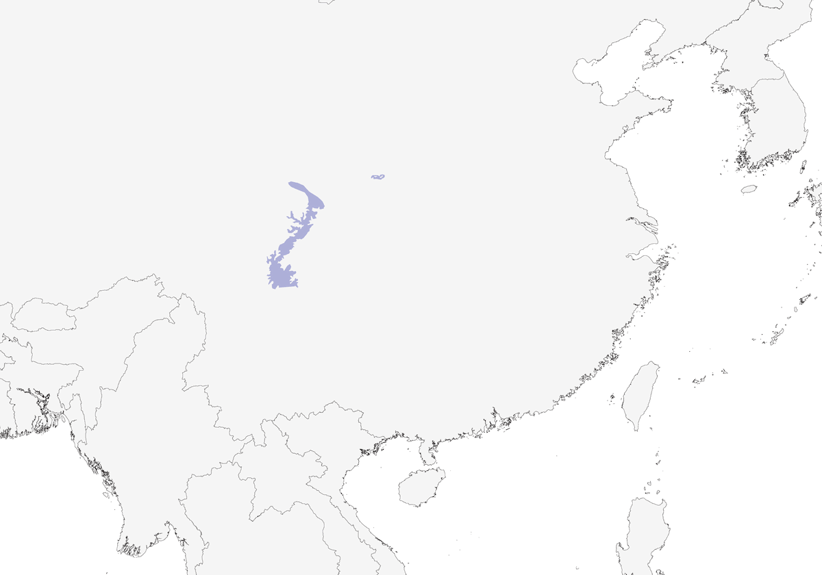 Rampichino del Sichuan, Distribuzione 1