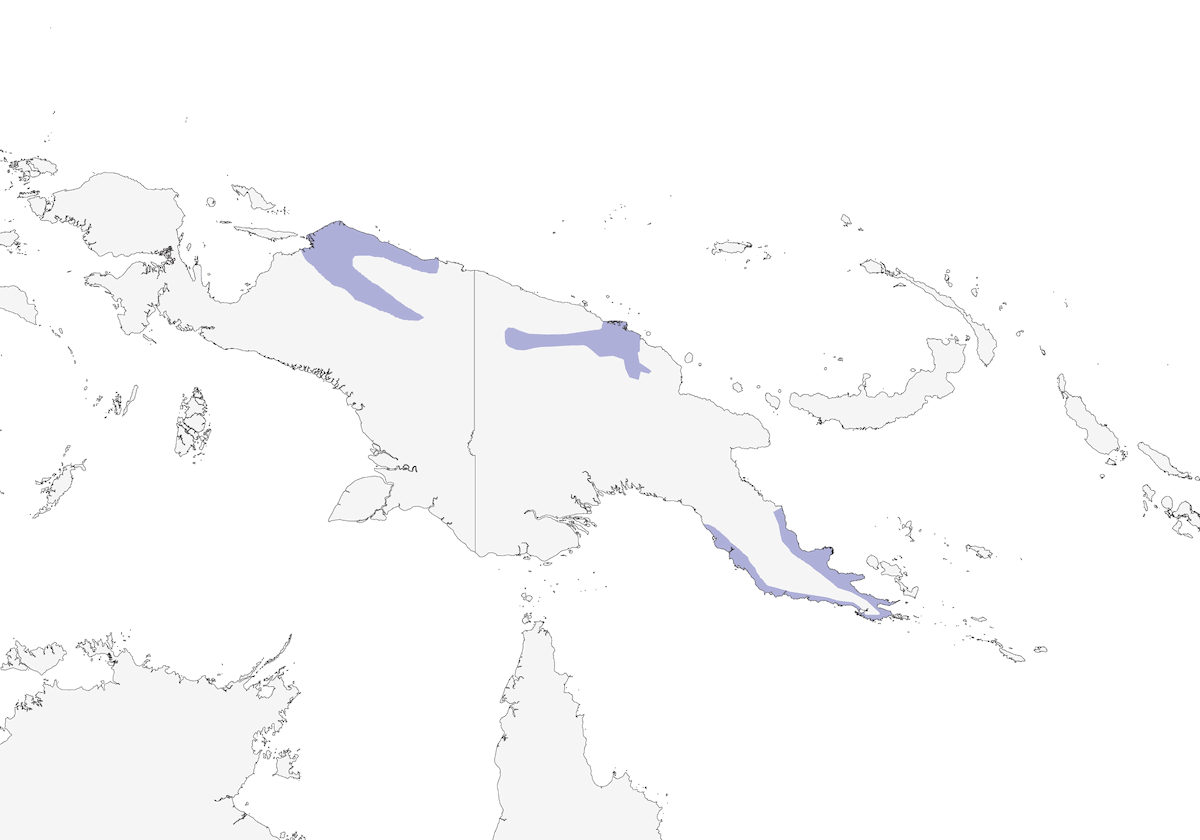 Melífago Orejiplata, Distribución 1