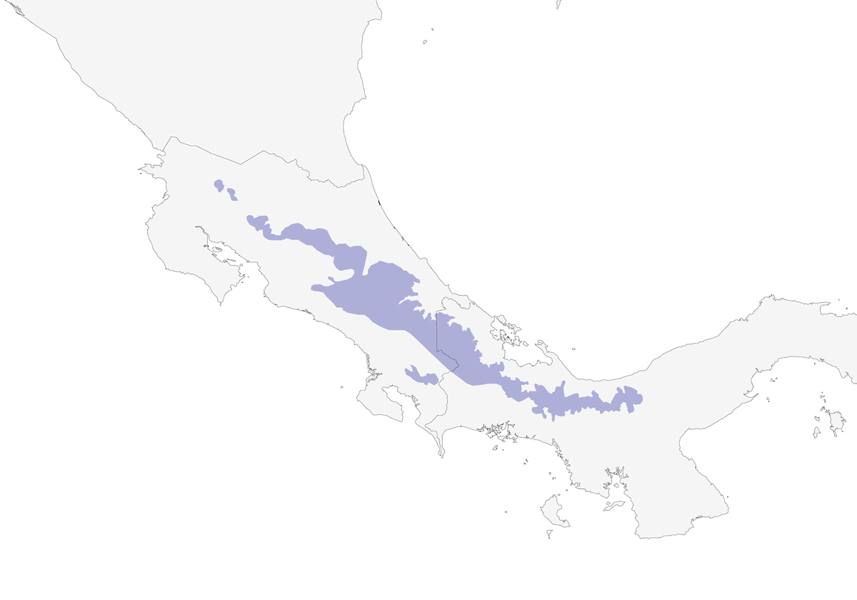 Silvery-fronted Tapaculo, Distribution 1