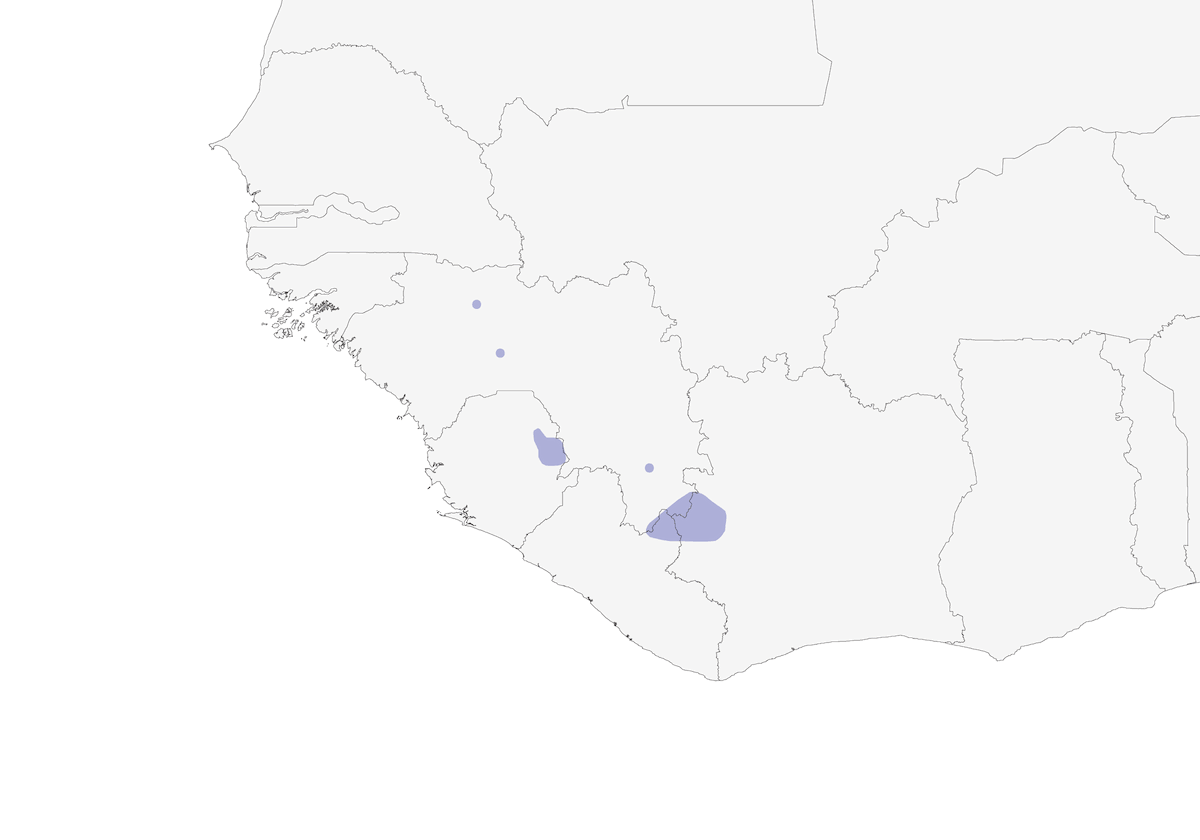 Prinia de Sierra Leona, Distribución 1