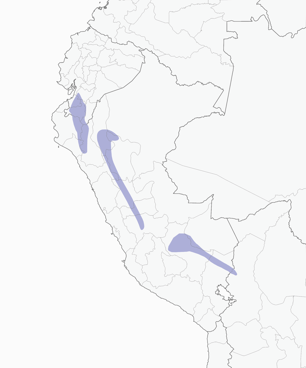 Silvery Tanager, Distribution 1