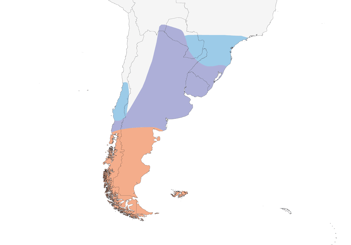 Silver Teal, Distribution 1