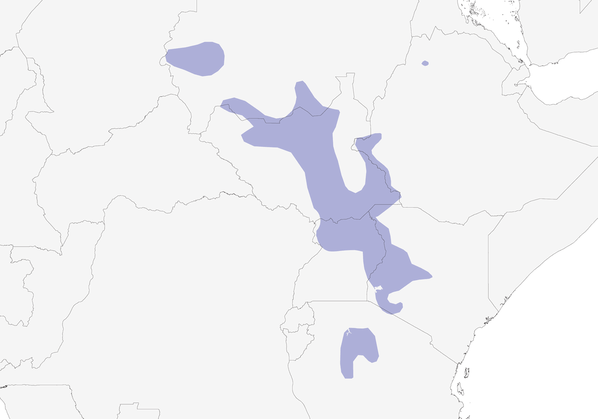 Pájaro plateado, Distribución 1