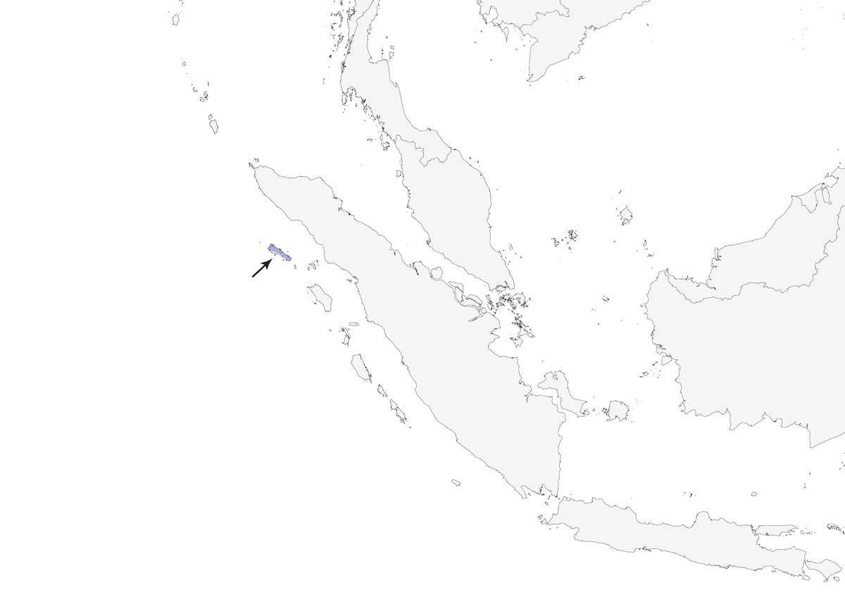 Assiolo di Simeulue, Distribuzione 1