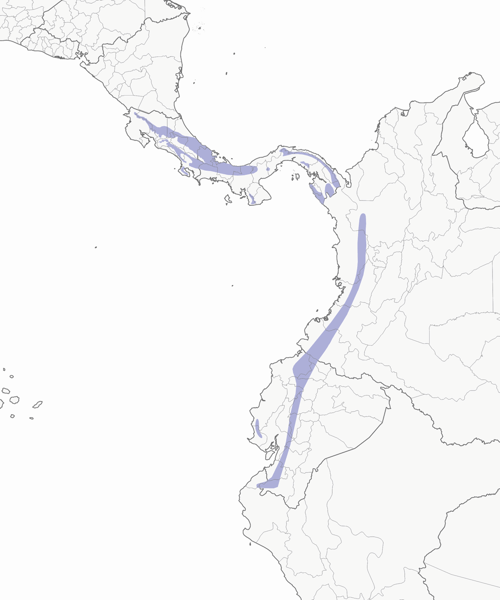 Tangara gorgiplata, Distribución 1