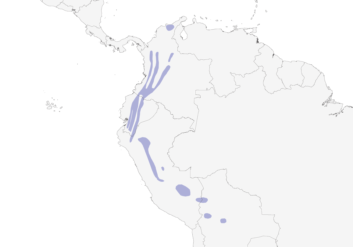 Pava Alihocicada, Distribución 1