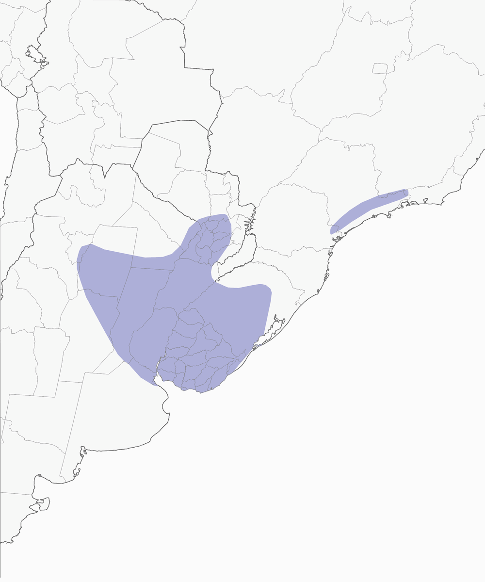 Sickle-winged Nightjar, Distribution 1