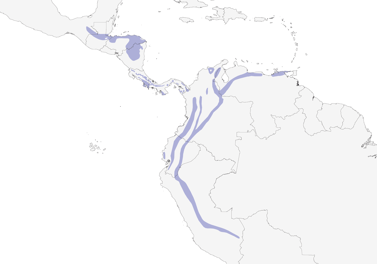 Slaty Antwren, Distribution 1