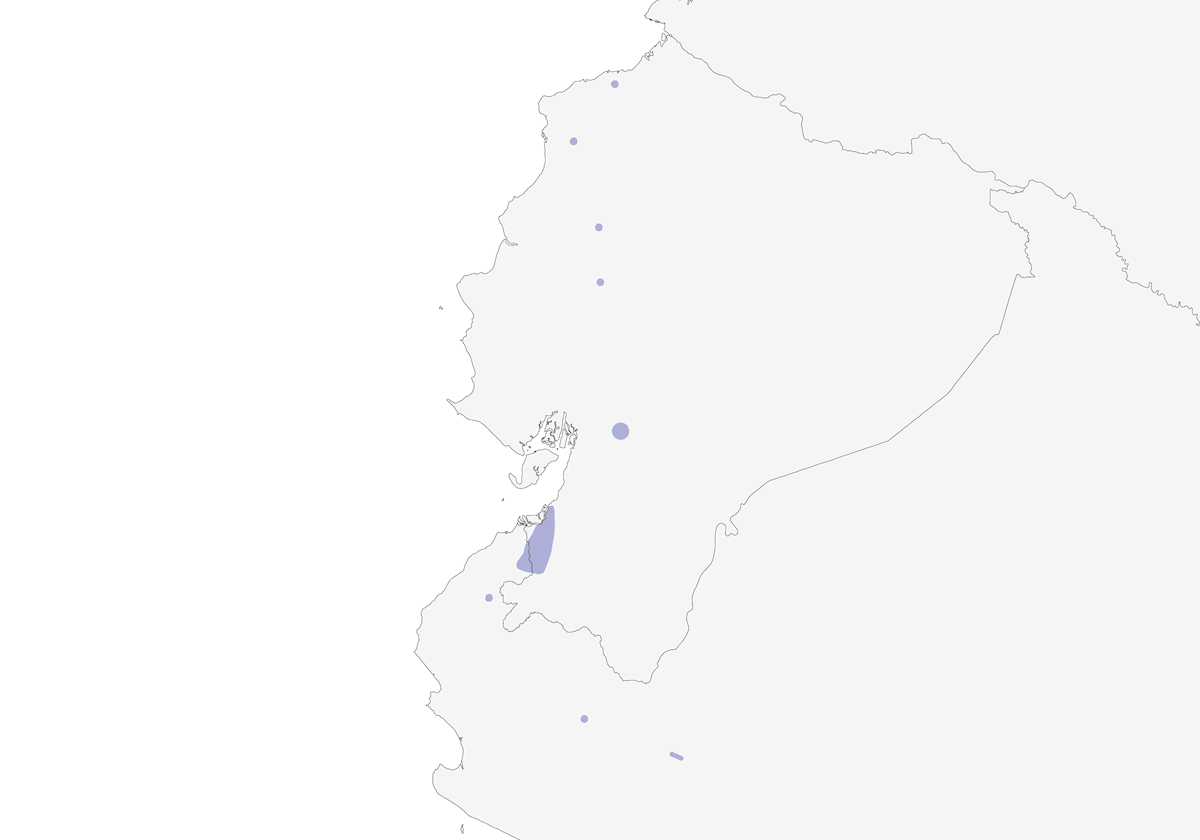 Slaty Becard, Distribution 1