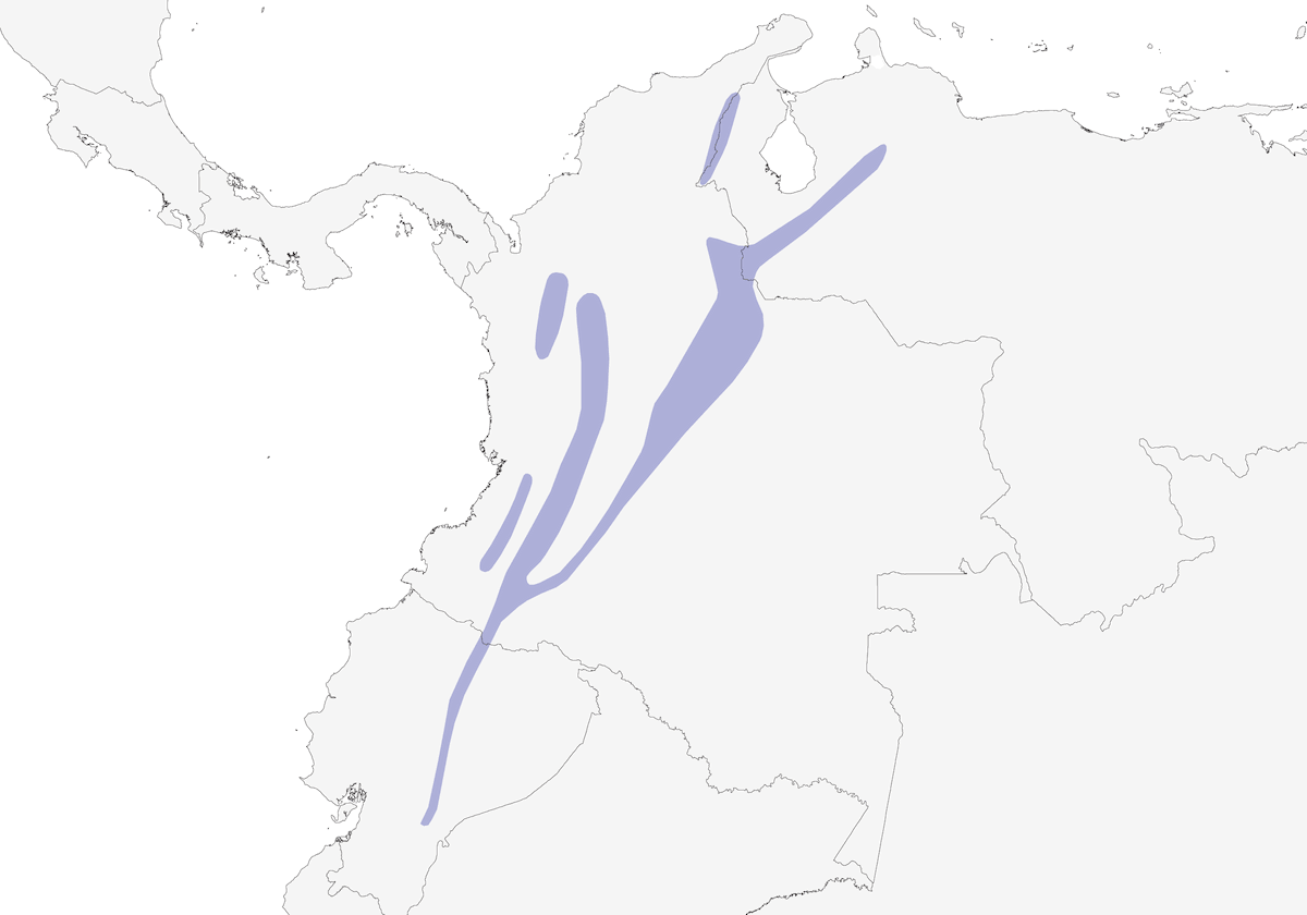 Northern Slaty Brushfinch, Distribution 1