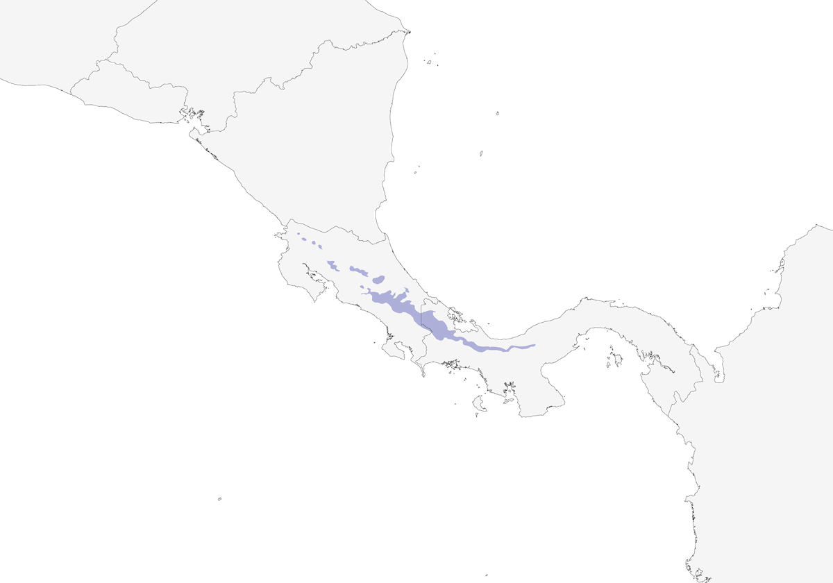 Florícola Pizarra, Distribución 1