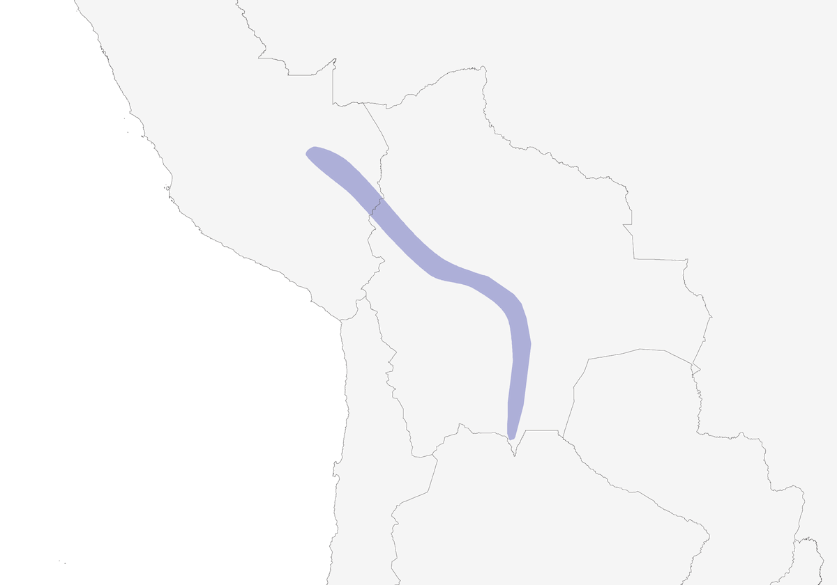 Conopófaga pizarra, Distribución 1