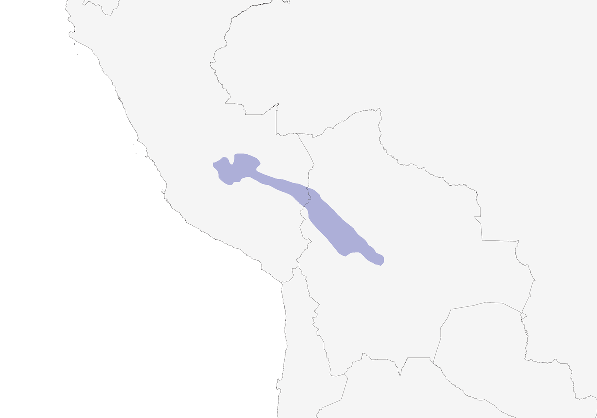 Tanagra ardesia, Distribuzione 1