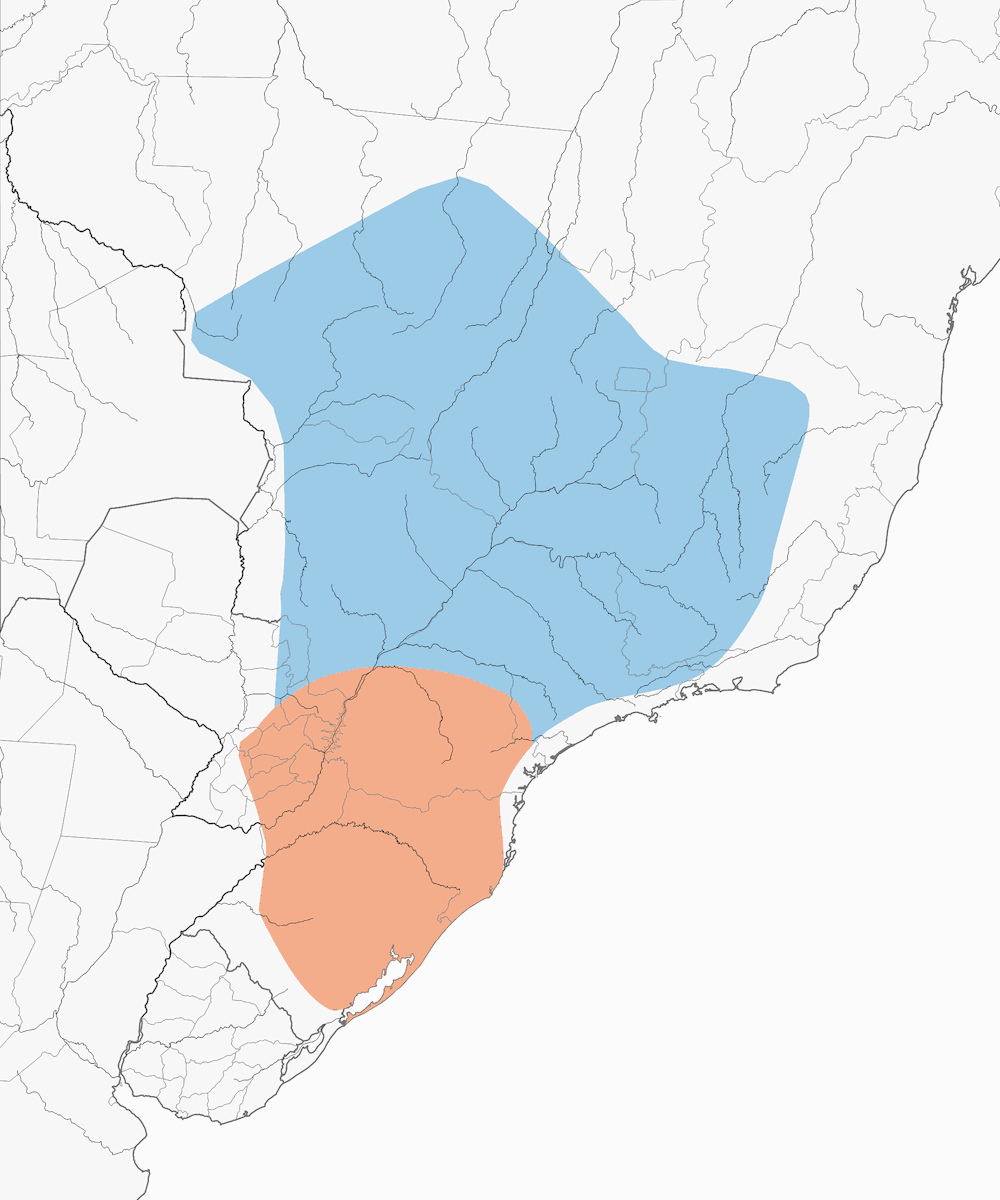 Usambara-Drossel, Verbreitung 1