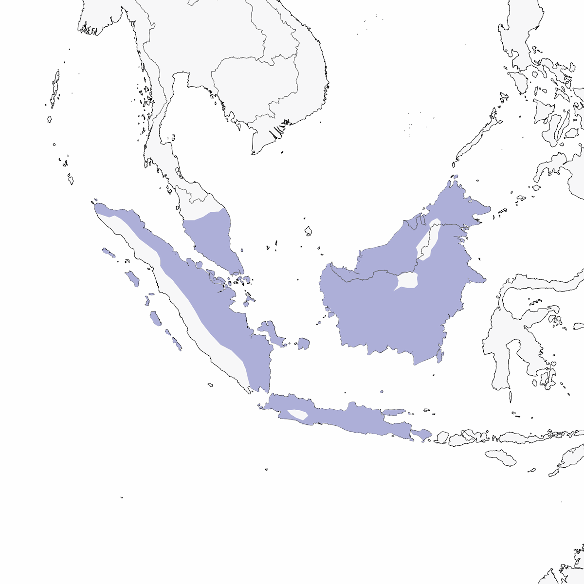 Corneja de la Sonda, Distribución 1