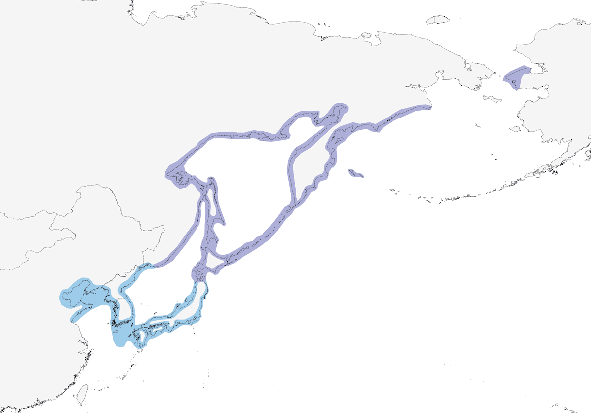 Slaty-backed Gull, Distribution 1