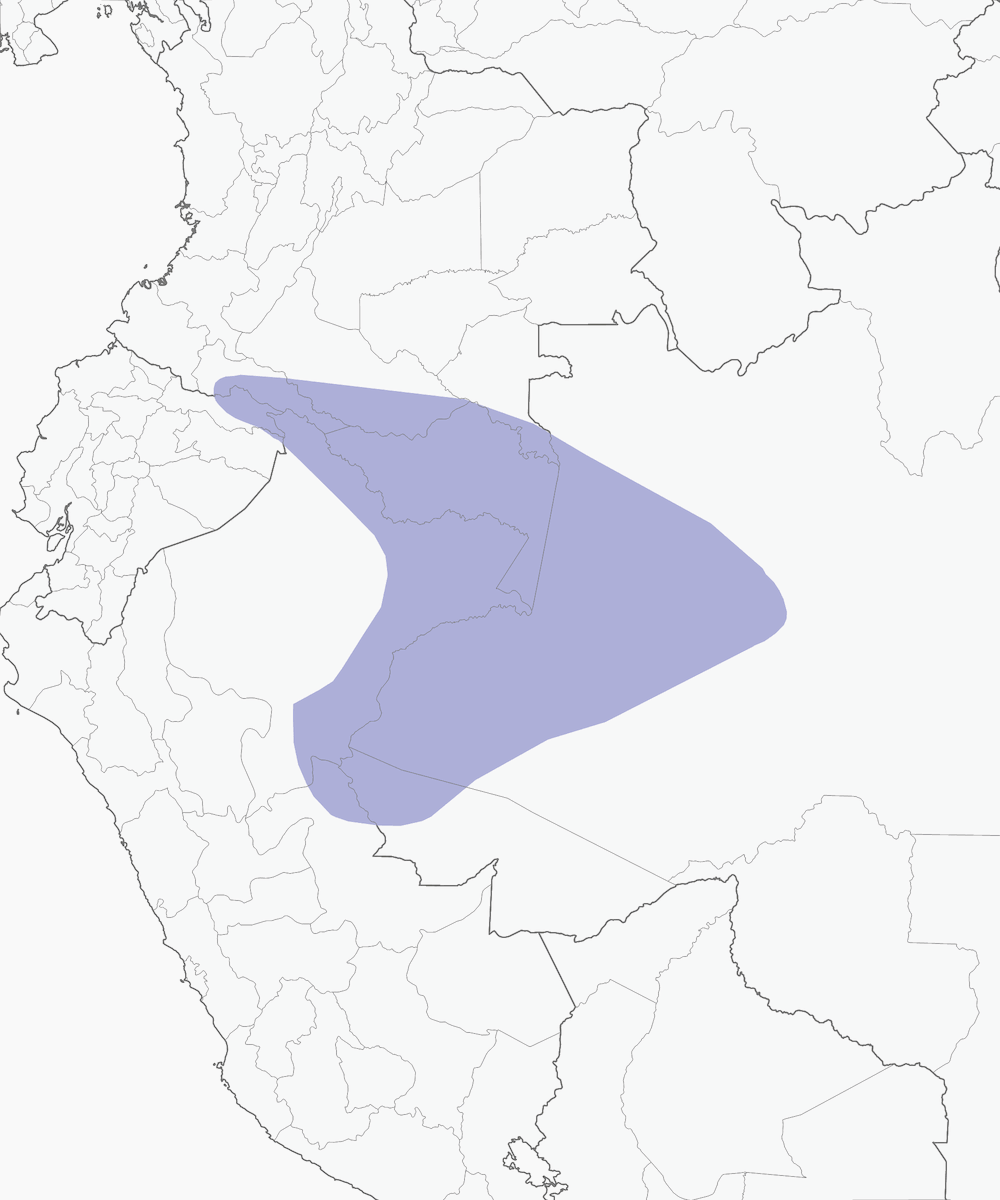 Mirmeciza schistacea, Distribuzione 1