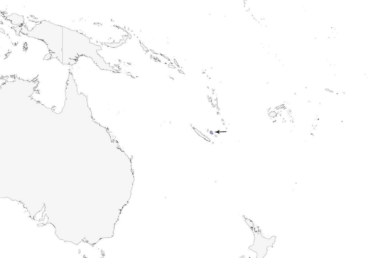 Occhialino di Lifou piccolo, Distribuzione 1