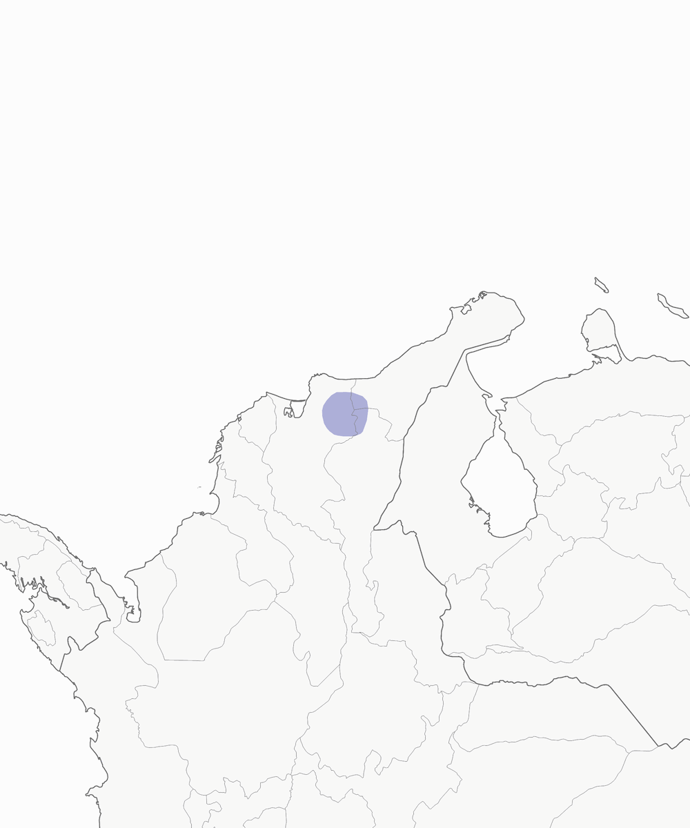 Atlapetes de Santa Marta, Distribución 1