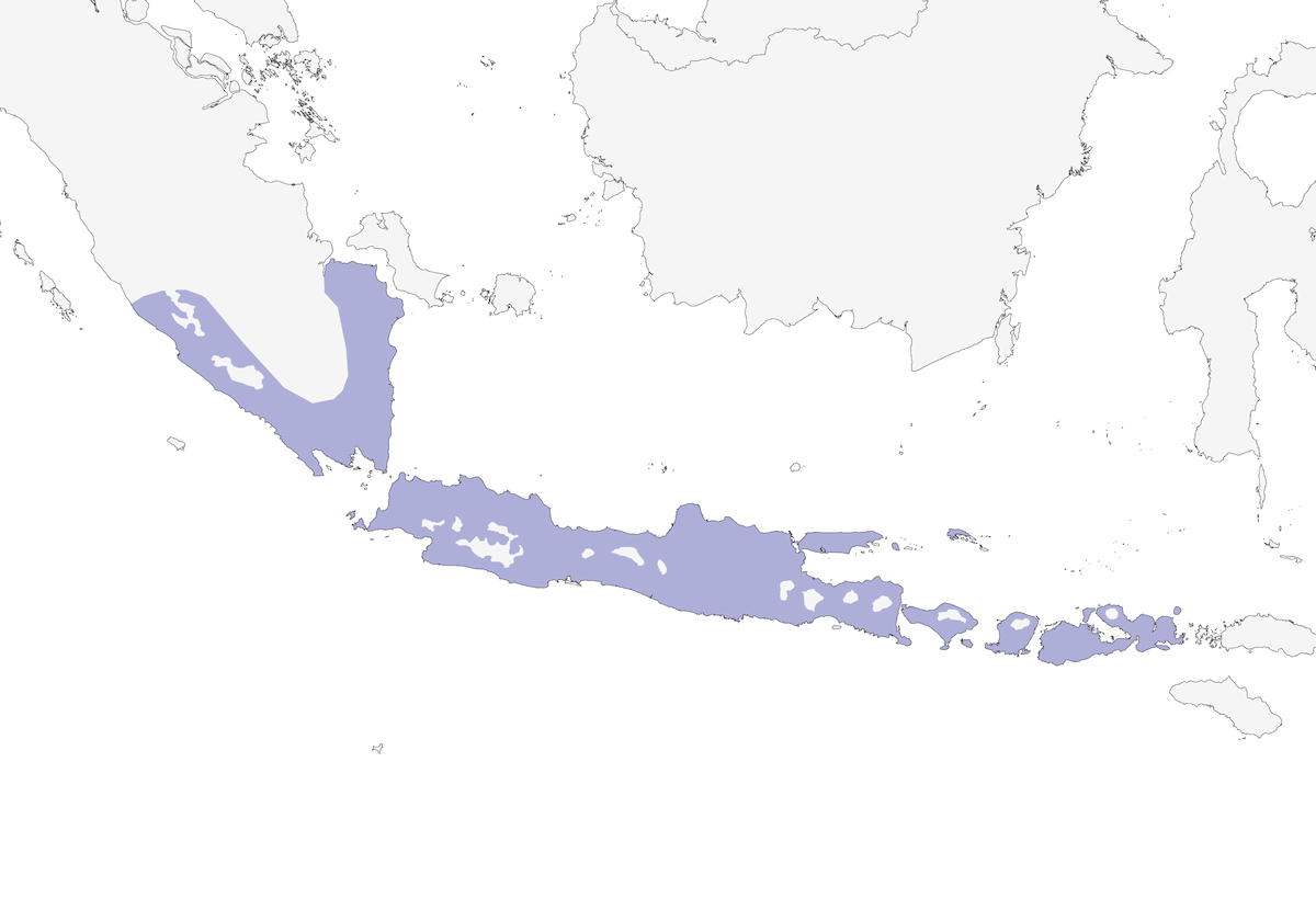 Martín pescador azul chico, Distribución 1