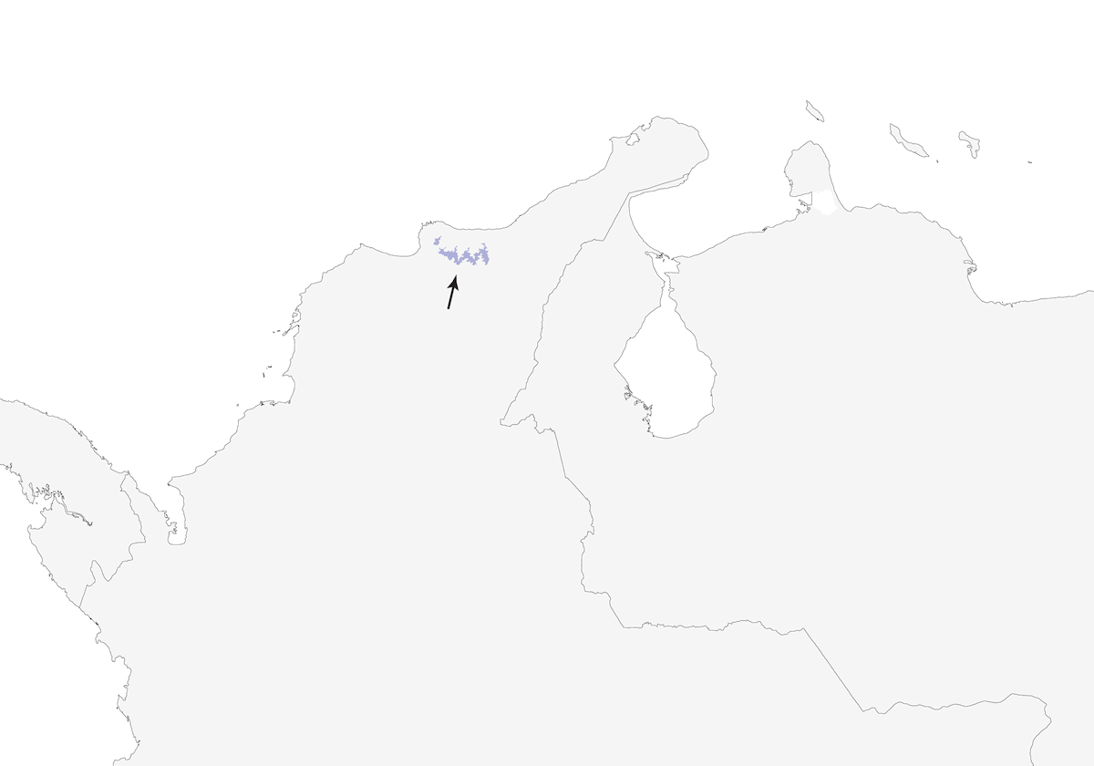 Santa-Marta-Buschtyrann, Verbreitung 1