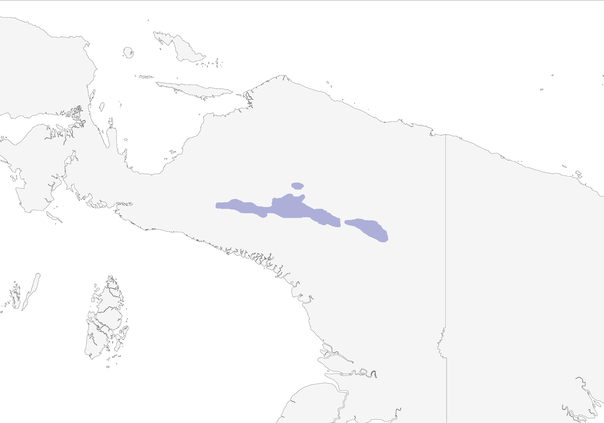 Quaglia della montagna di neve, Distribuzione 1