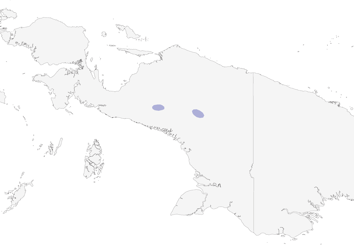 Miro d'Archbold, Distribution 1