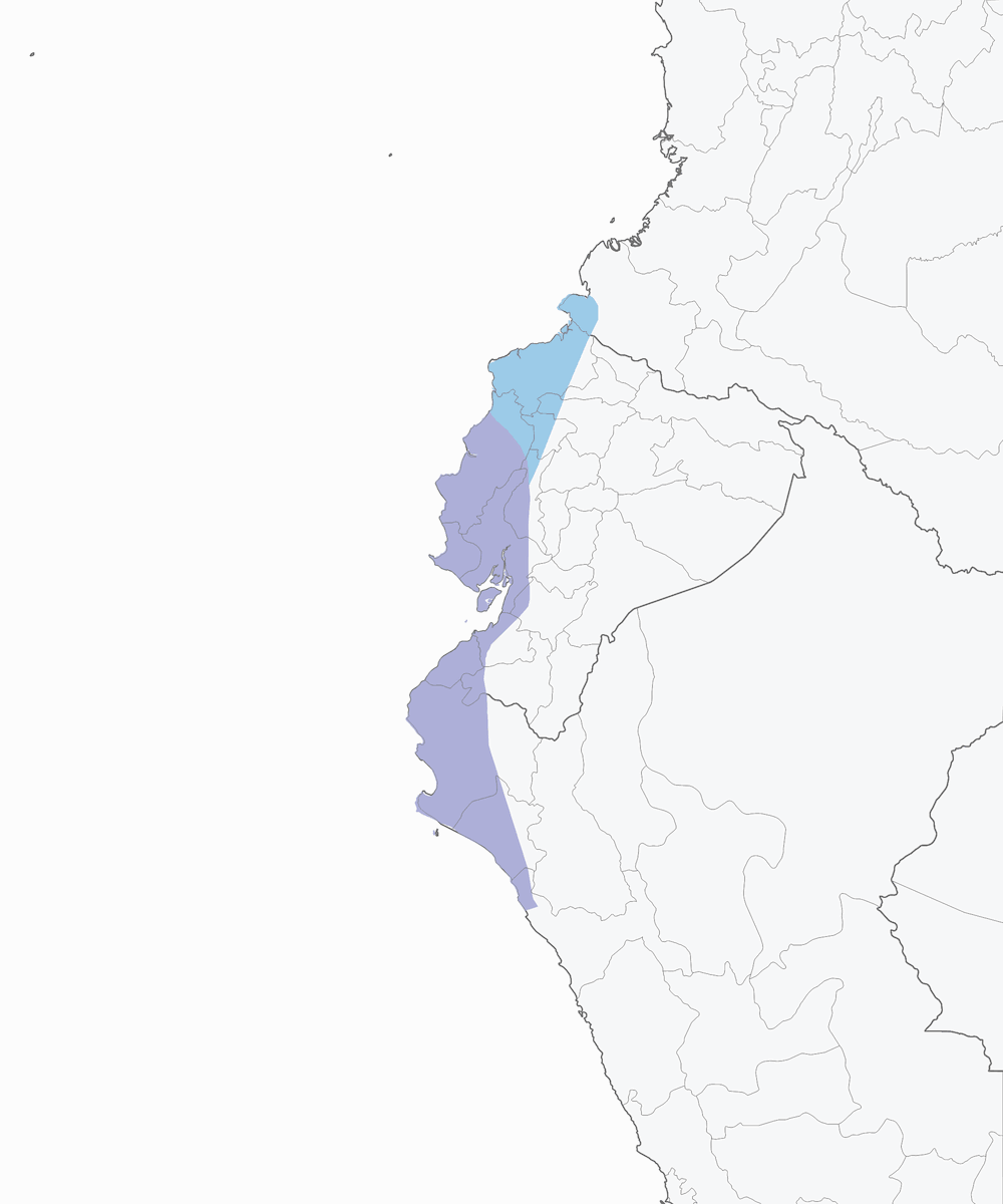 Tirano gorginieve, Distribución 1