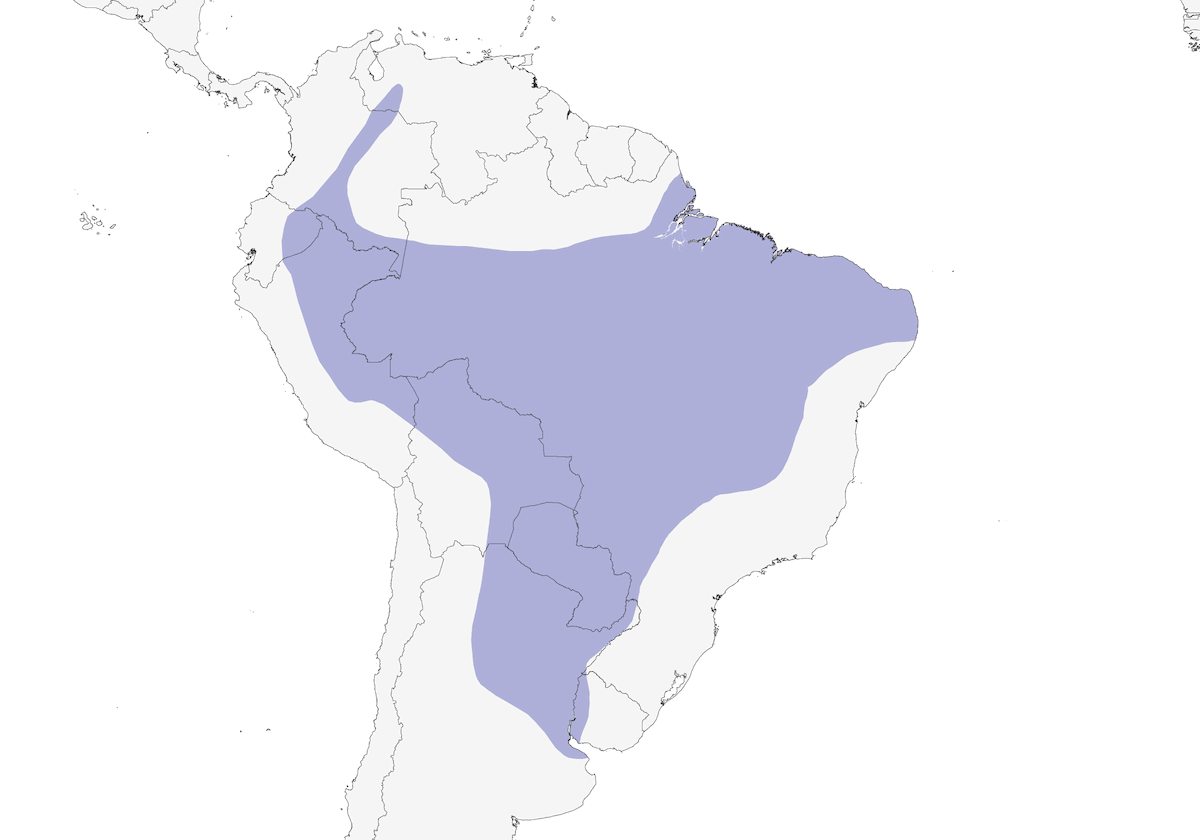 Solitary Black Cacique, Distribution 1