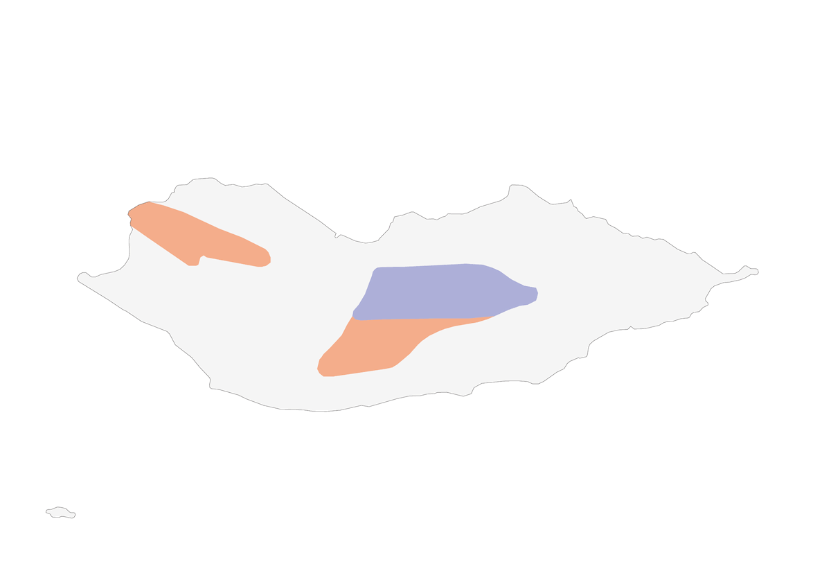 Ortolano di Socotra, Distribuzione 1