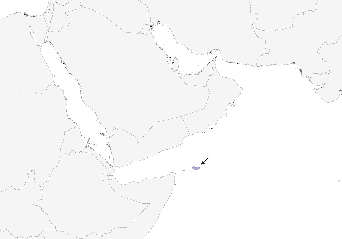 Busardo de Socotra, Distribución 1